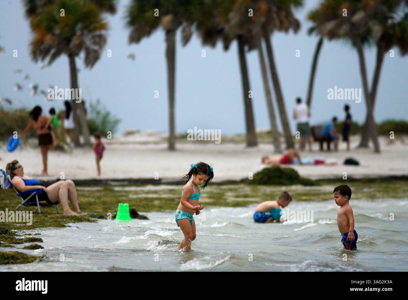TARPON SPRINGS - (6/16/2008) - 2) Mackenzie Kaiser (CQ), 3 ans, de Lutz, au centre, joue dans le golfe du Mexique lundi lors d'une visite au parc Fred Howard avec son frère Matthew Kaiser, âgé de 18 mois (crédit image : St Petersburg Times/ZUMAPRESS.com) Banque D'Images