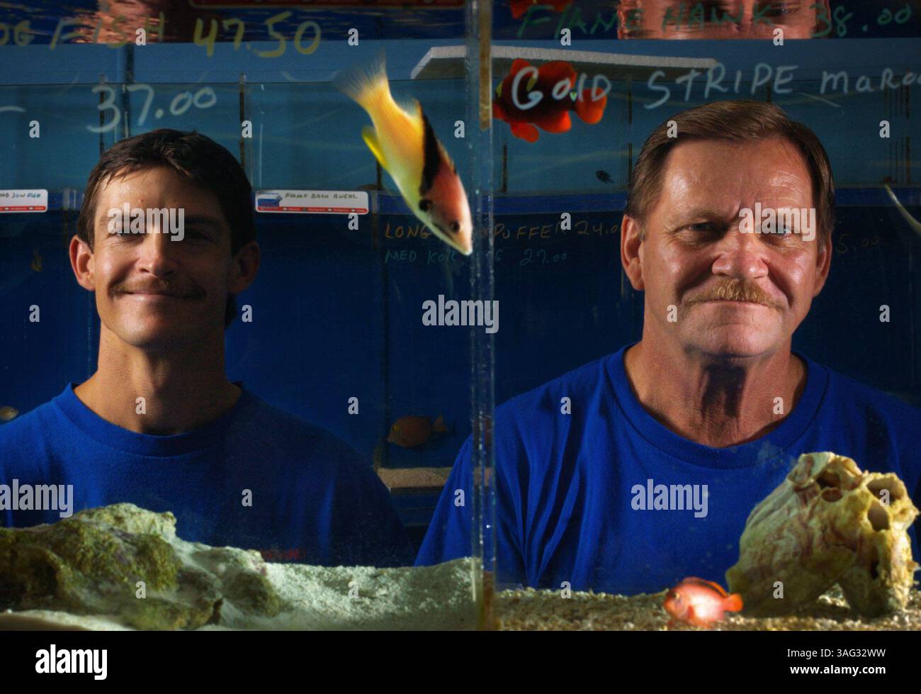 LÉGENDE : (08/19/2005 Brooksville) G-d : le père et son fils Todd Cole, 32 ans, et Jim Cole, 59 ans, (tous deux cq du sujet) posent pour un portrait dans leur entreprise d'aquarium à Brooksville le 19 août 2005. Leur magasin, Cole's Aquatic Specialties, vend à la fois du poisson d'eau douce et d'eau salée et des fournitures pour l'entretien de l'un ou l'autre type d'aquarium. Le père et le fils ont tous deux affirmé que l'entreprise avait commencé comme un passe-temps. Ils se souviennent tous les deux que leur premier poisson de compagnie était un Oscar (Astronotus ocellatus), un poisson d'eau douce originaire de la région amazonienne en Amérique du Sud. (Crédit image : St Petersburg Times/ZUMAPRESS.com) Banque D'Images
