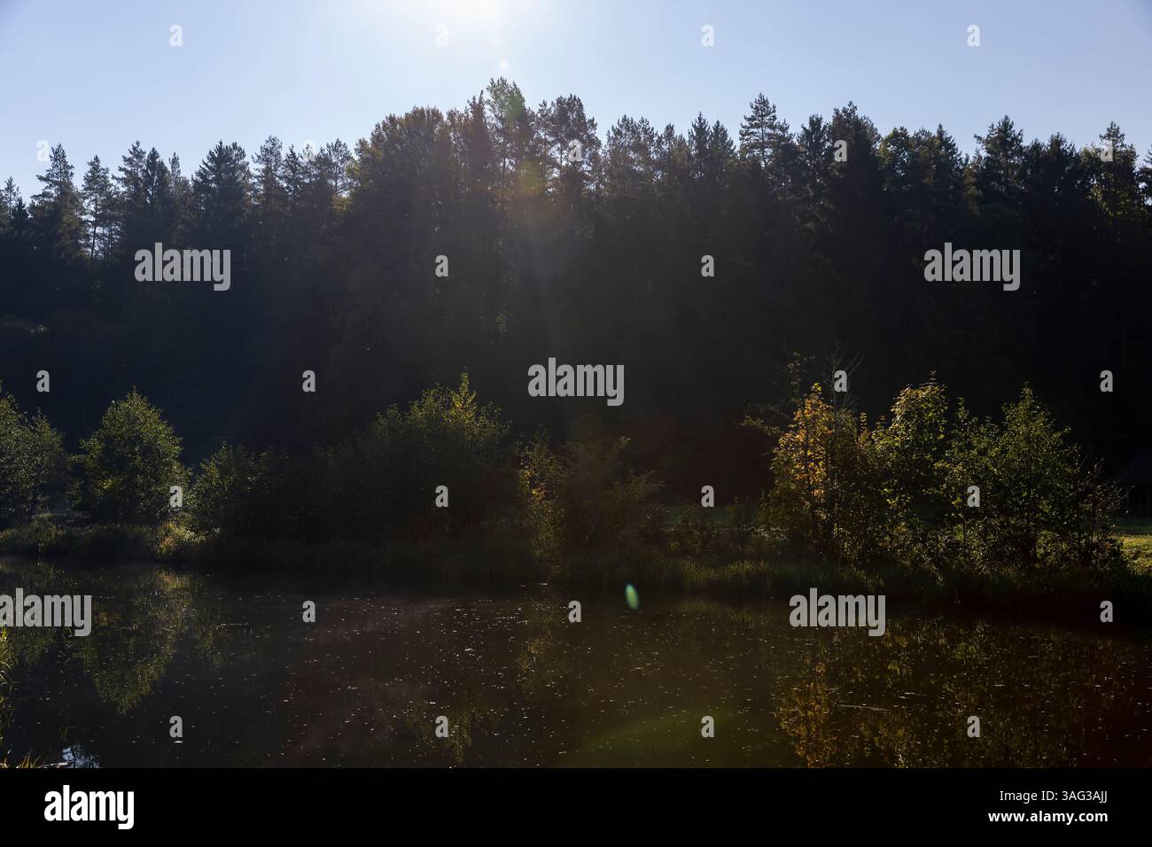 une rivière dans le parc avec des arbres avec du feuillage, des arbres et des plantes se reflètent dans l'eau de la rivière pendant les mois d'été de l'année Banque D'Images