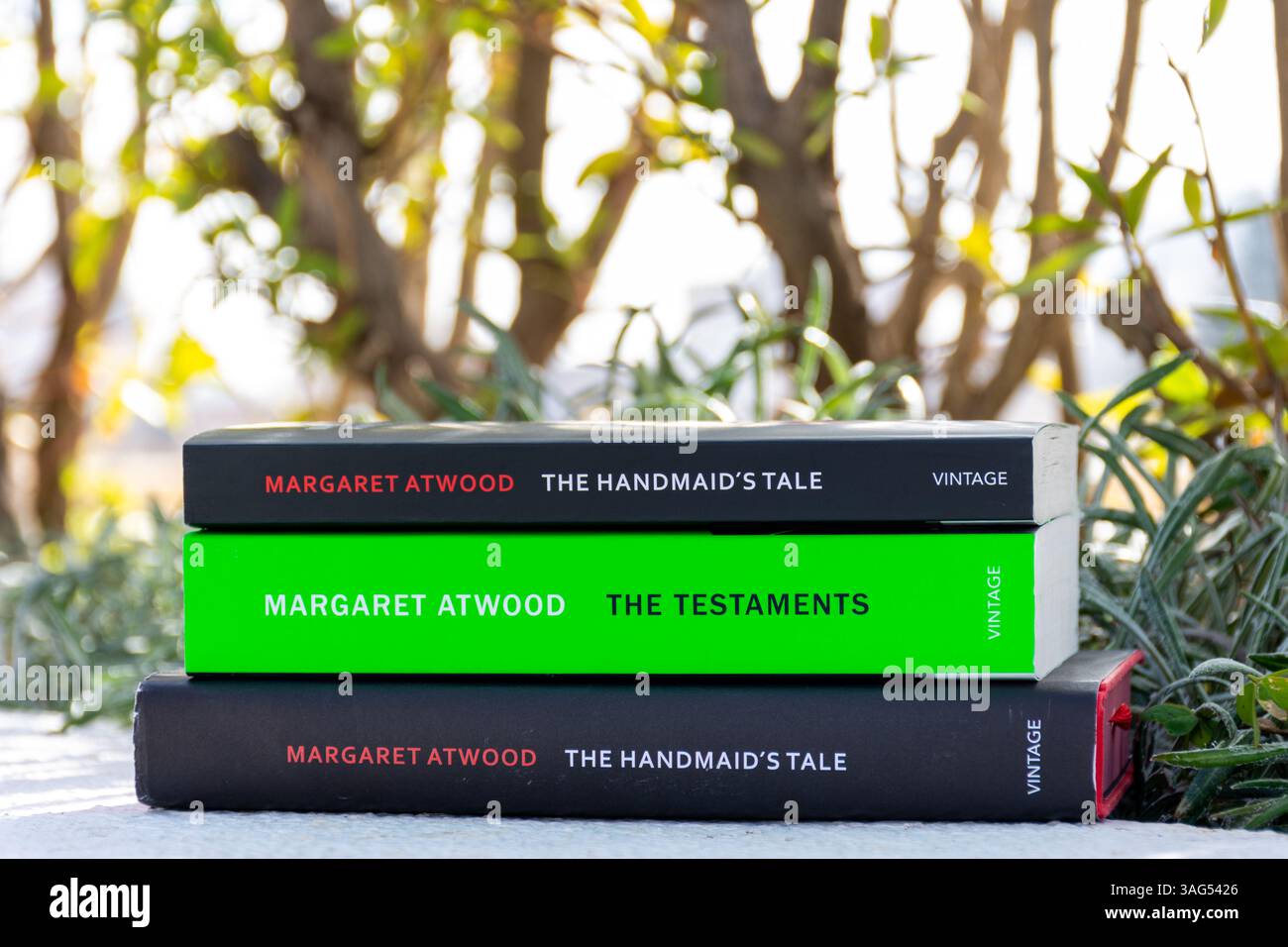 Gros plan des romans The Handmaid et The Testaments de Margaret Atwood dans le jardin. Banque D'Images