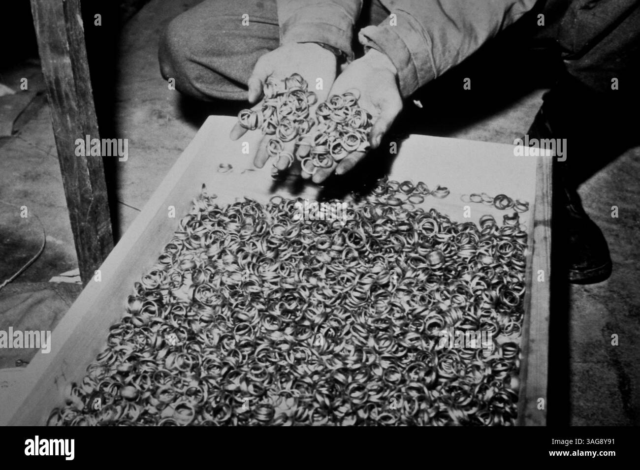 15 avril 1945 - Weimar, Allemagne - des milliers d'anneaux de mariage en or recueillis par les nazis et trouvés par l'armée américaine dans une grotte adjacente au camp de concentration de Buchenwald le 1945 mai à Weimar, Allemagne. Les gardes SS allemands ont enlevé les objets de valeur des cadavres de leurs victimes du camp afin de récupérer l'or. (Crédit image : © Richard Ellis/ZUMAPRESS.com) Banque D'Images