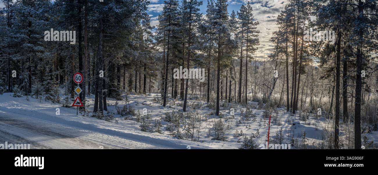autoroute, maison par la route, sur le côté enneigé d'une route très fréquentée une maison et les arbres qui l'entourent Banque D'Images