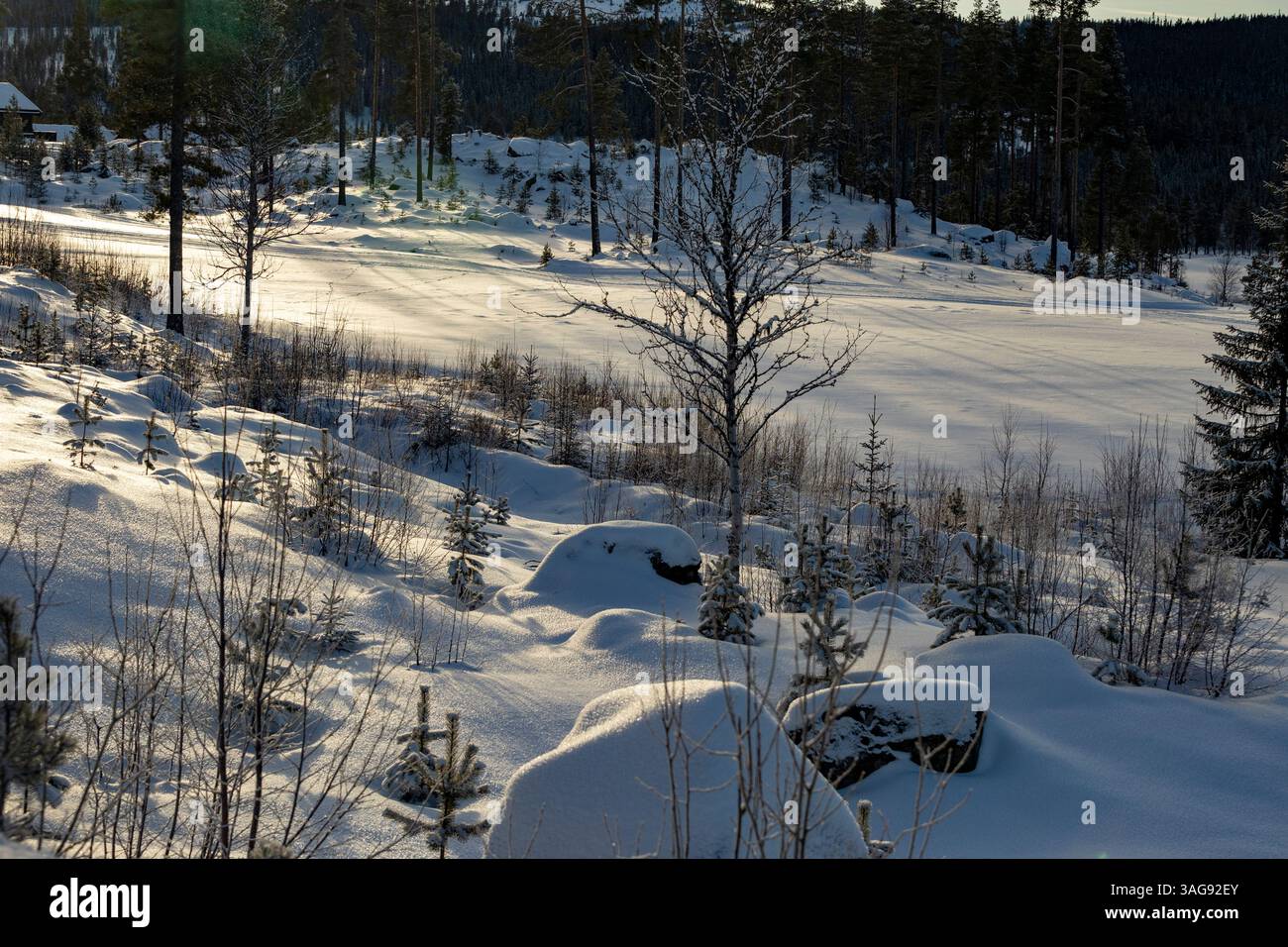 La périphérie d'une station de ski, des déneigements près de troncs d'arbres et des maisons de station de ski en arrière-plan de la station de ski Norefjell en Norvège Banque D'Images
