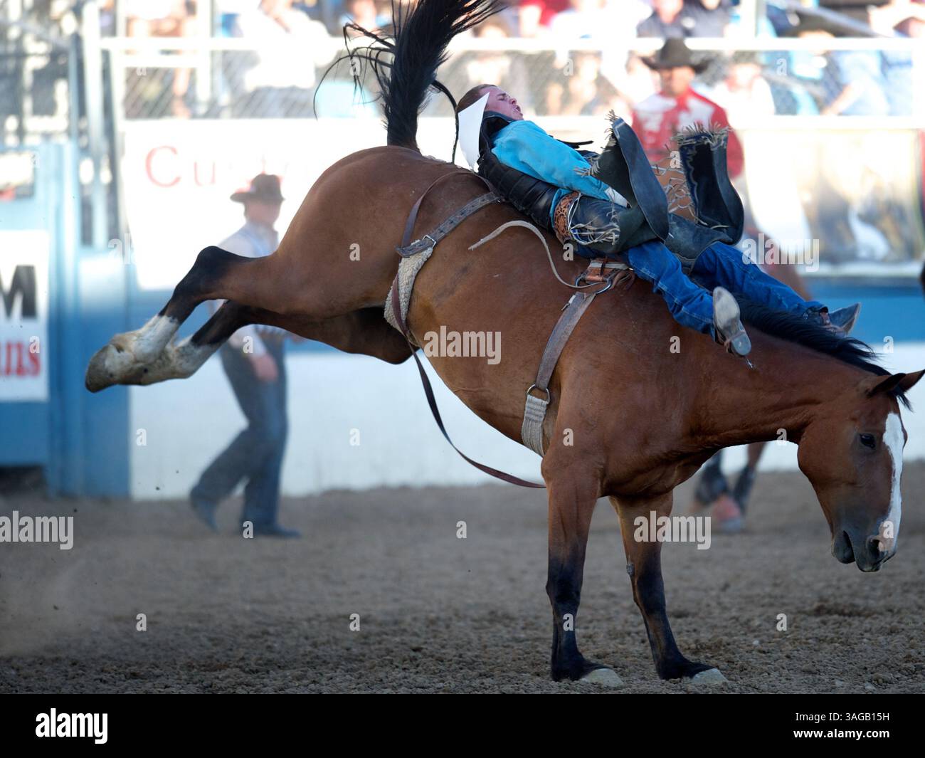 21 juin 2012 - Reno, Nevada, États-Unis - Orin Larsen, coureur Bareback de Twin Falls, ID rides Fox au Rodeo de Reno à Reno, NV. (Crédit image : © Matt Cohen/ZUMAPRESS.com) Banque D'Images