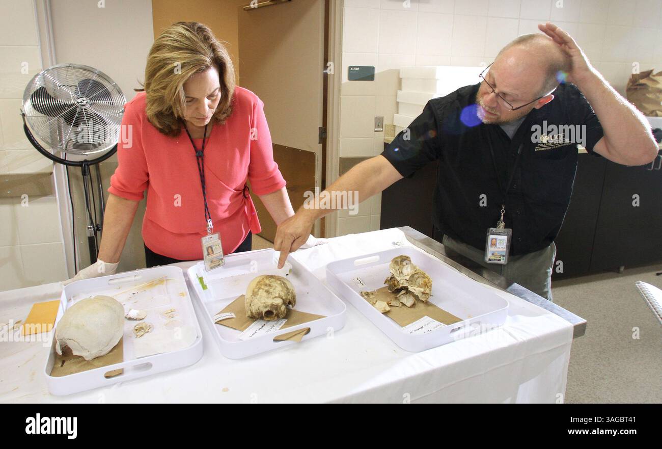 11 mai 2012 - Orlando, FL, États-Unis - Dr Jan Garavaglia, médecin légiste en chef d'Orange/Osceola, et Dr John Schultz, professeur agrégé d'anthropologie à l'Université de Floride centrale, parlent de la découverte de ce que l'on pense être des os et des artefacts péruviens sur un chantier de construction de Winter Garden, vendredi 11 mai 2012, à Orlando, Floride. (Crédit image : © Joe Burbank/Orlando Sentinel/MCT/ZUMAPRESS.com) Banque D'Images