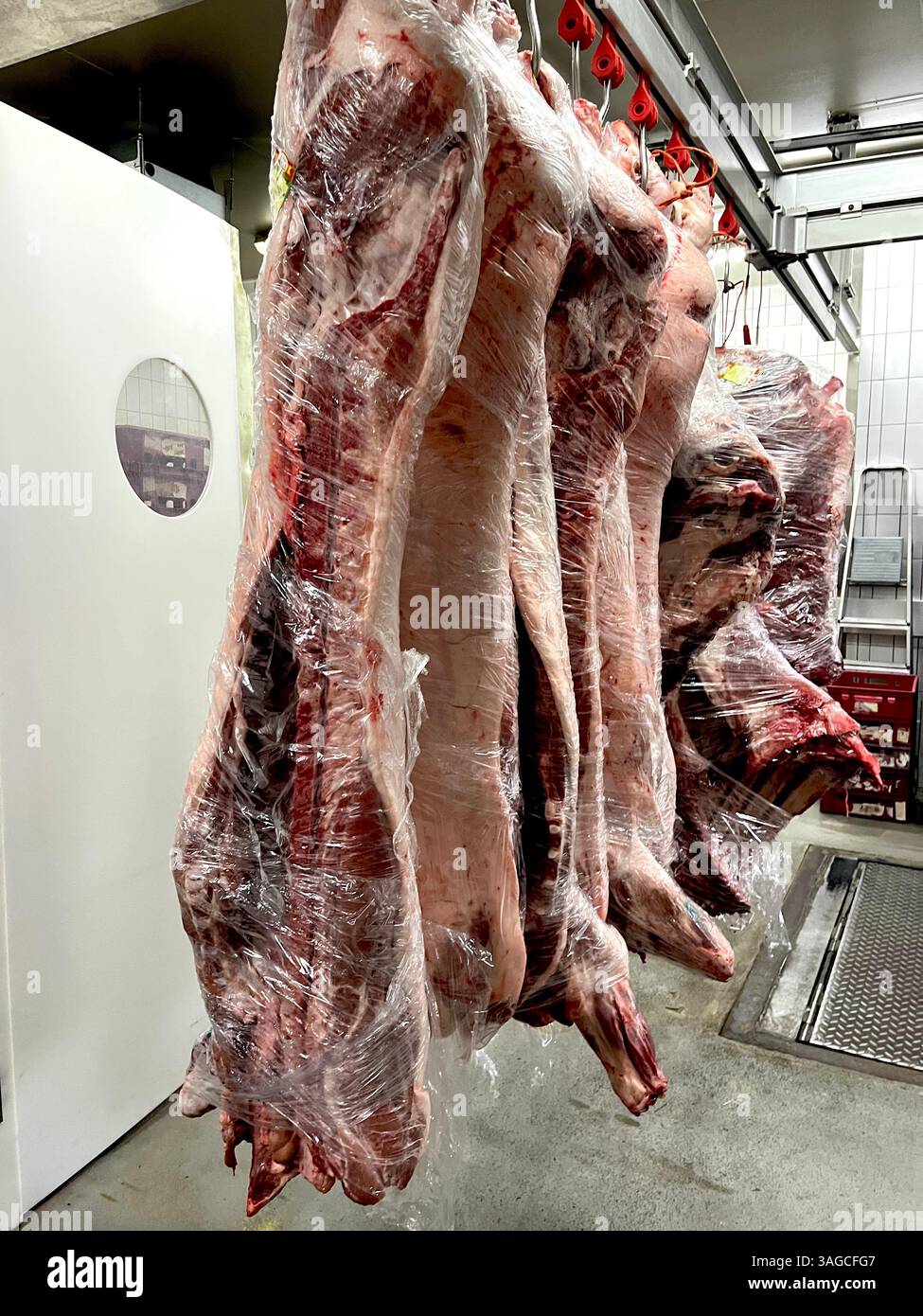 industrie de la viande, boucherie, ferme à table, approvisionnement alimentaire, corps de porc sur bobine, bobine de viande de boucherie, boucherie entière de porc, affichage suspendu de viande, porc frais coupé, corps de porc complet, bobine de viande, crochet de viande, porc cru, viande fraîche, boucherie artisanale, commerce, industrie Banque D'Images