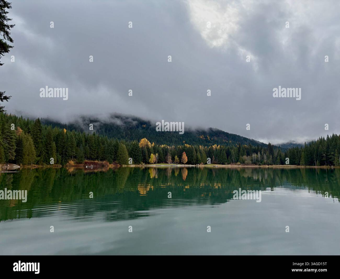 Lac serein reflétant les arbres d'automne - Image de stock capturée avec un smartphone