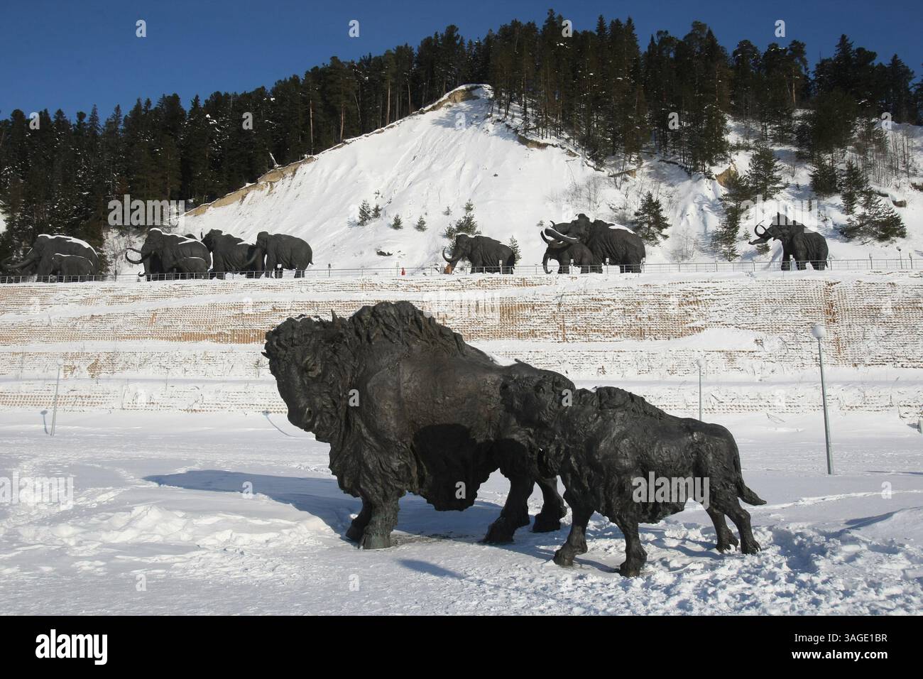 22 février 2009 - Khanty-Mansiysk, Russie - Parc Jurassique dans la ville de Khanty-Mansiysk en Sibérie occidentale en Russie présentant des sculptures de la fin de l'ère Jurassique des animaux et des personnes préhistoriques. PHOTO : bisons et mammouths préhistoriques en arrière-plan (crédit image : PhotoXpress/ZUMAPRESS.com) Banque D'Images