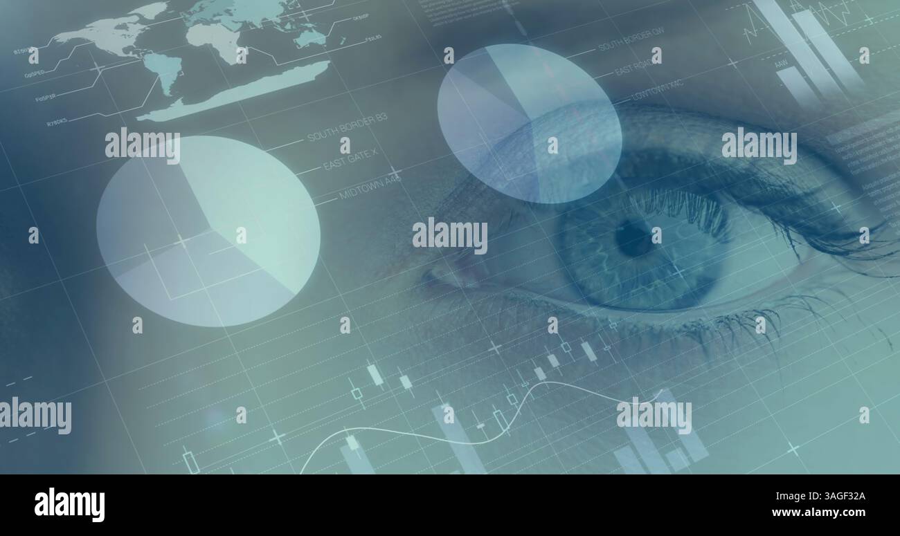 Image du traitement des données financières avec des statistiques sur l'oeil de la femme Banque D'Images