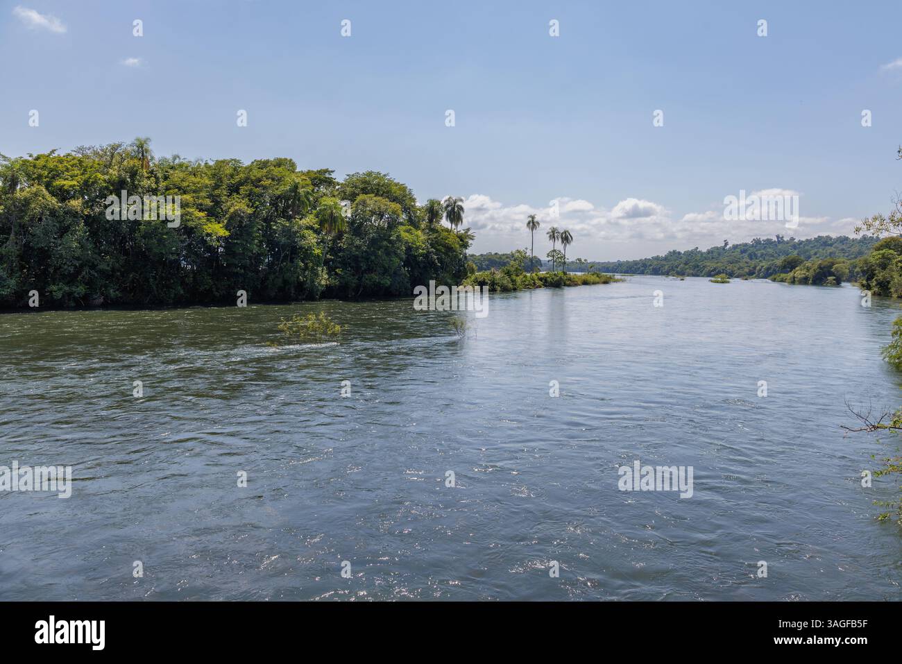 Vue panoramique sur la rivière Iguazu dans le parc national d'Iguazu à Misiones, Argentine. Banque D'Images