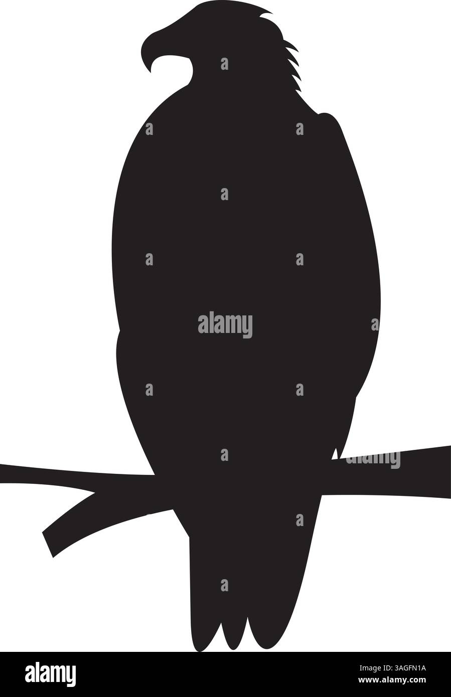 La silhouette de l'art vectoriel de l'aigle sauvage Illustration de Vecteur