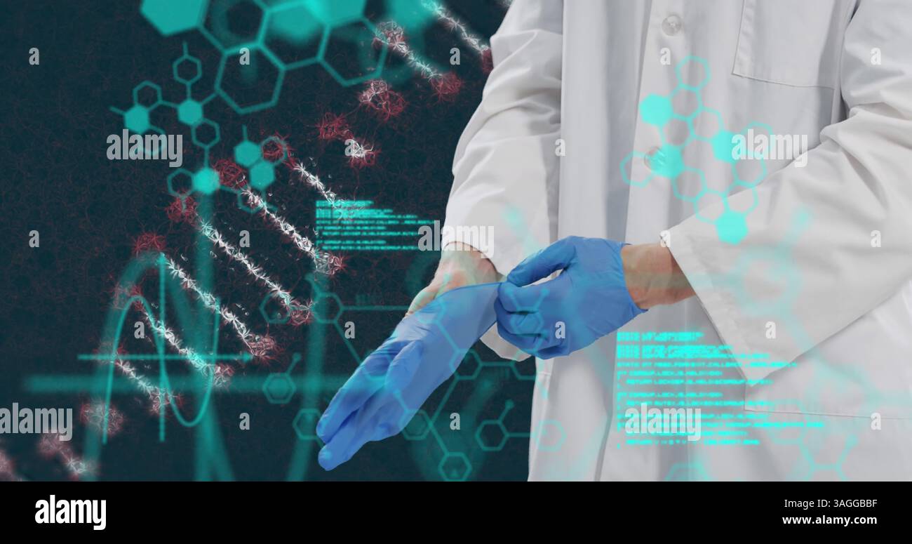 Image du brin d'adn et du traitement des données médicales sur un médecin mettant des gants Banque D'Images