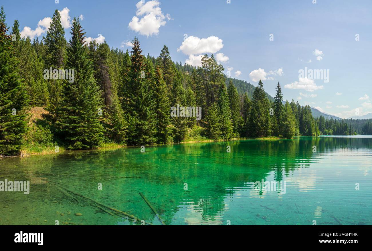 Vue sur le cinquième lac, Vallée des cinq lacs, PN Jasper, Canada Banque D'Images