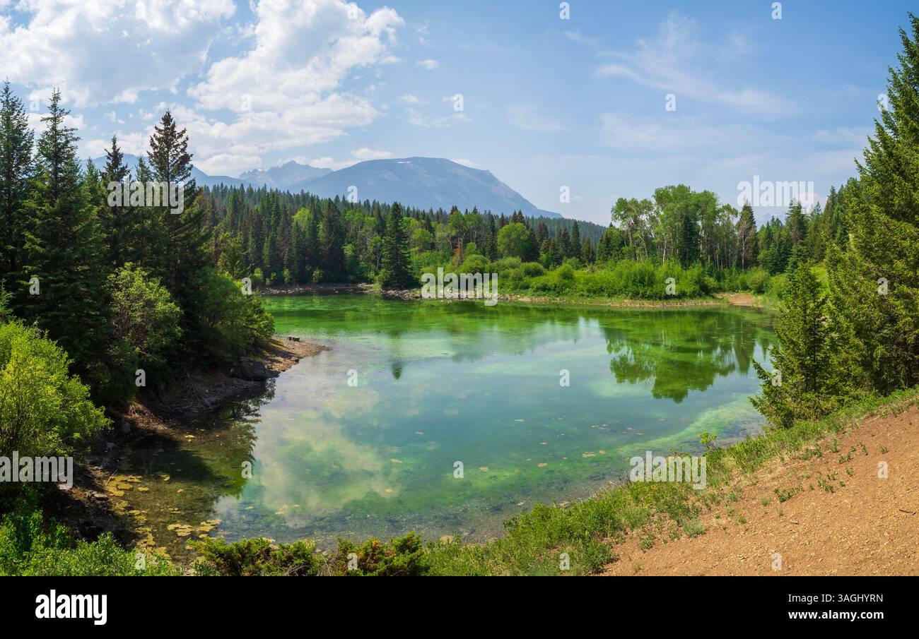 Vue générale du deuxième lac, Vallée des cinq lacs, PN Jasper, Canada Banque D'Images