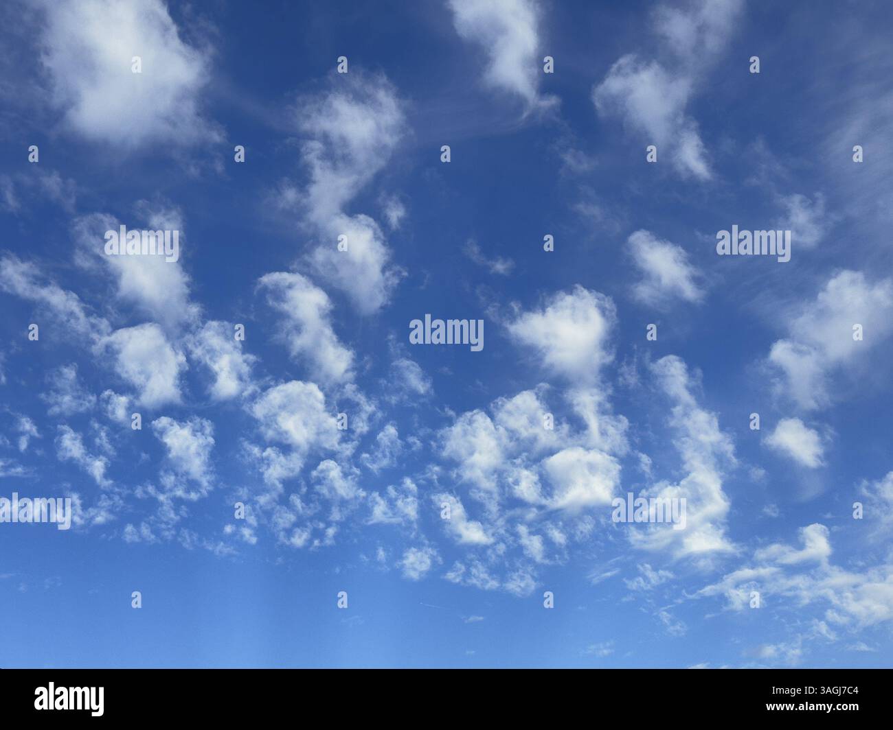 Cirrocumulus regroupe des nuages devant un ciel bleu, international Banque D'Images