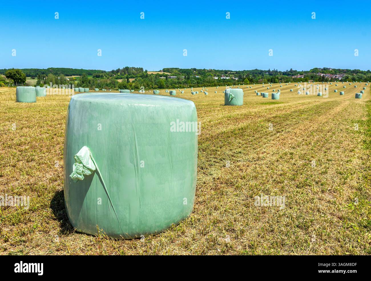 Balles de paille emballées en plastique (après récolte) - sud-Touraine, Indre-et-Loire (37), France. Banque D'Images
