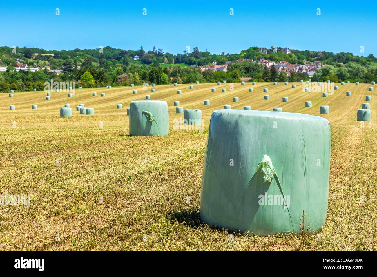 Balles de paille emballées en plastique (après récolte) - sud-Touraine, Indre-et-Loire (37), France. Banque D'Images