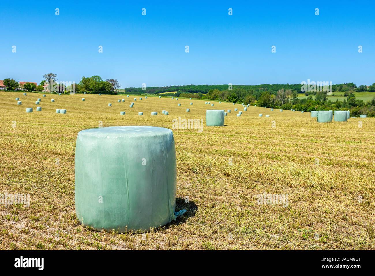 Balles de paille emballées en plastique (après récolte) - sud-Touraine, Indre-et-Loire (37), France. Banque D'Images
