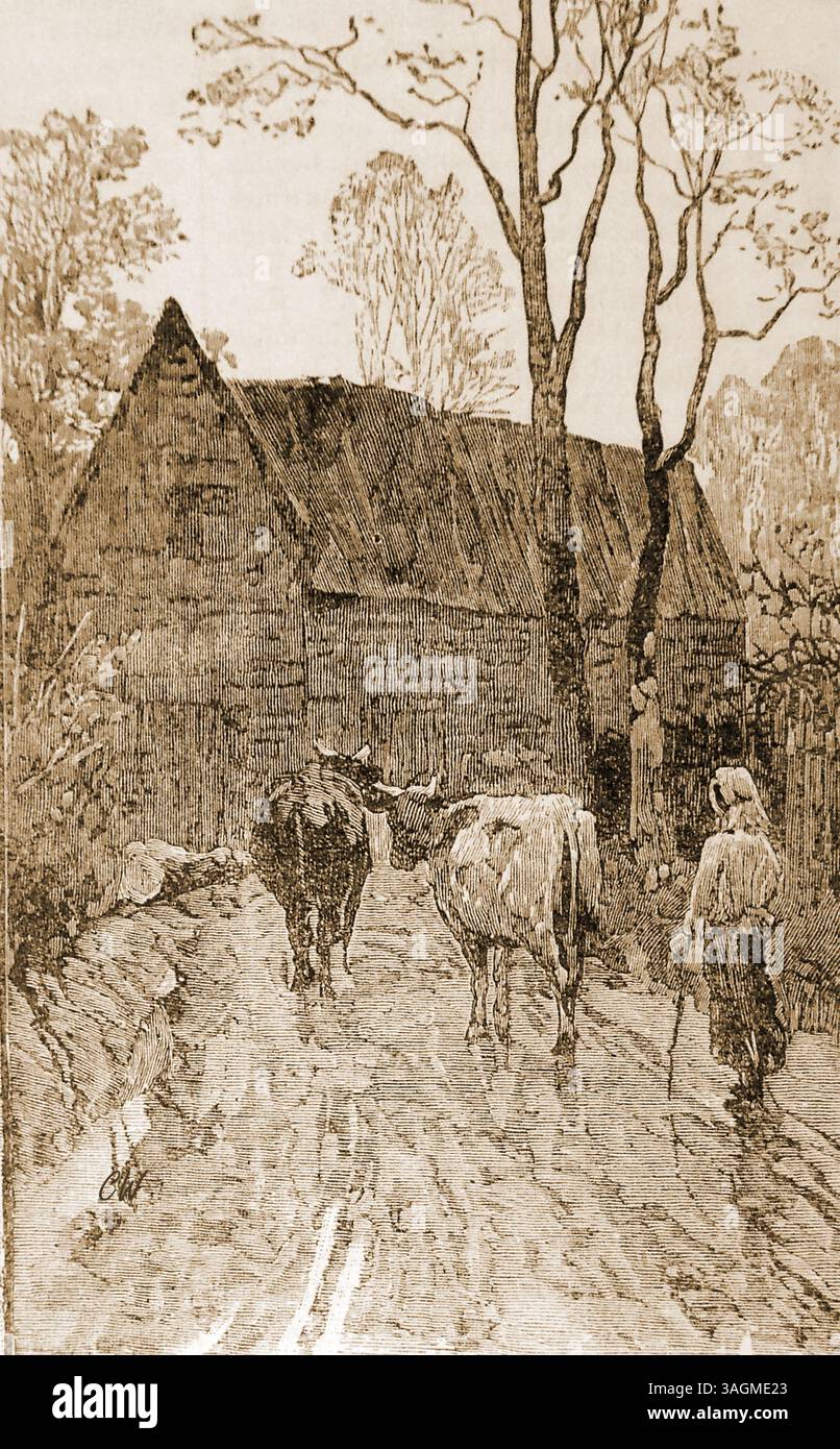 Une gravure de la fin du XIXe siècle montrant une épouse fermière ramenant les vaches à la maison pour la traite en Grande-Bretagne. Banque D'Images