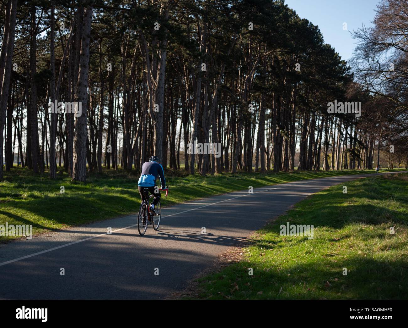 Un cycliste solitaire passant à travers les arbres dans le Phoenix Park dans la ville de Dublin, Irlande. Banque D'Images