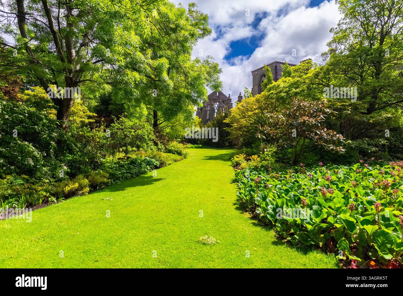 Vue sur l'abbaye de Holyrood dans le centre-ville d'Édimbourg. Édimbourg, Écosse, Royaume-Uni, Europe. Banque D'Images