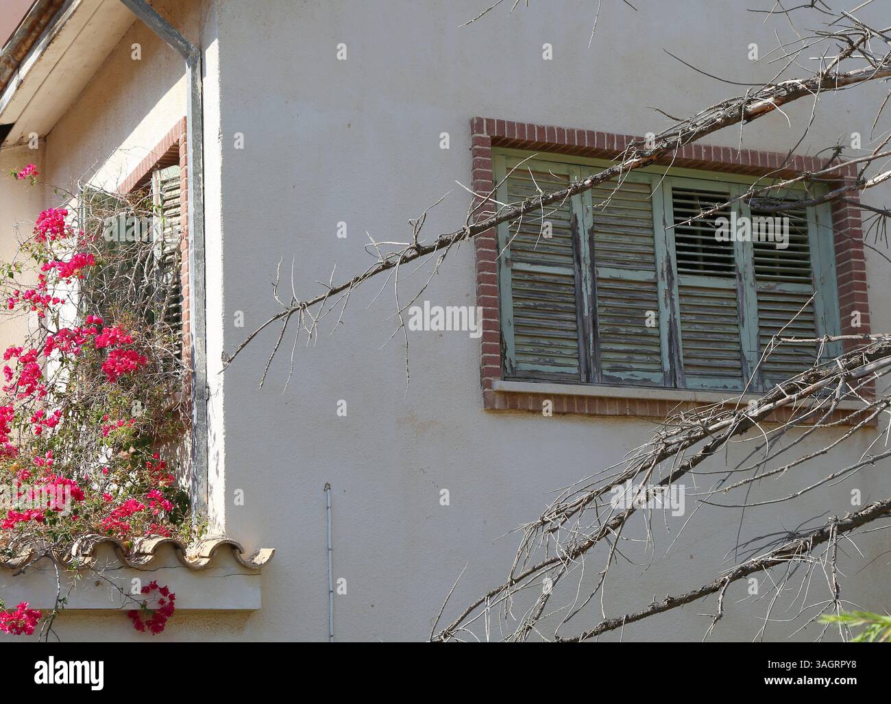 Ancienne maison chypriote abandonnée avec Bougainvillea et volets à Varosha, Famagouste, Chypre du Nord Banque D'Images