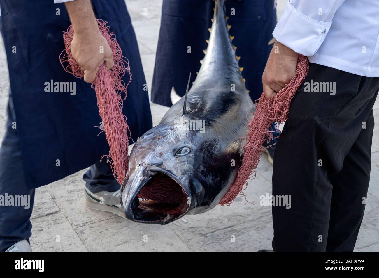 Un grand thon vient d'être pêché en Sicile, en Italie Banque D'Images