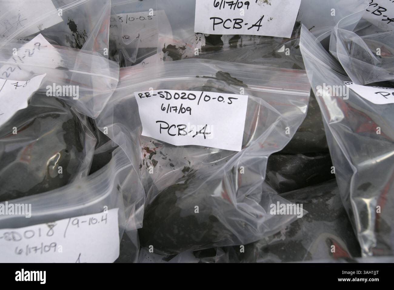 Les carottes de sédiments de River raisin sont ensachées et marquées pour être analysées dans la zone de traitement des carottes près de River raisin à Monroe le lundi 22 juin 2009. Des échantillons de sédiments sont prélevés à 114 endroits entre le bassin de retournement et l'embouchure de la rivière pour le projet d'essai de sédiments River raisin de l'Agence de protection de l'environnement. Ces échantillons sont entreposés dans une glacière et seront envoyés à un laboratoire pour être analysés.(information de la demande : L'EPA échantillonne la rivière raisin pour détecter la contamination des sédiments par les BPC, dans le cadre des efforts de nettoyage, afin de l'empêcher de pénétrer dans le lac Érié. L'histoire concerne le nettoyage Banque D'Images