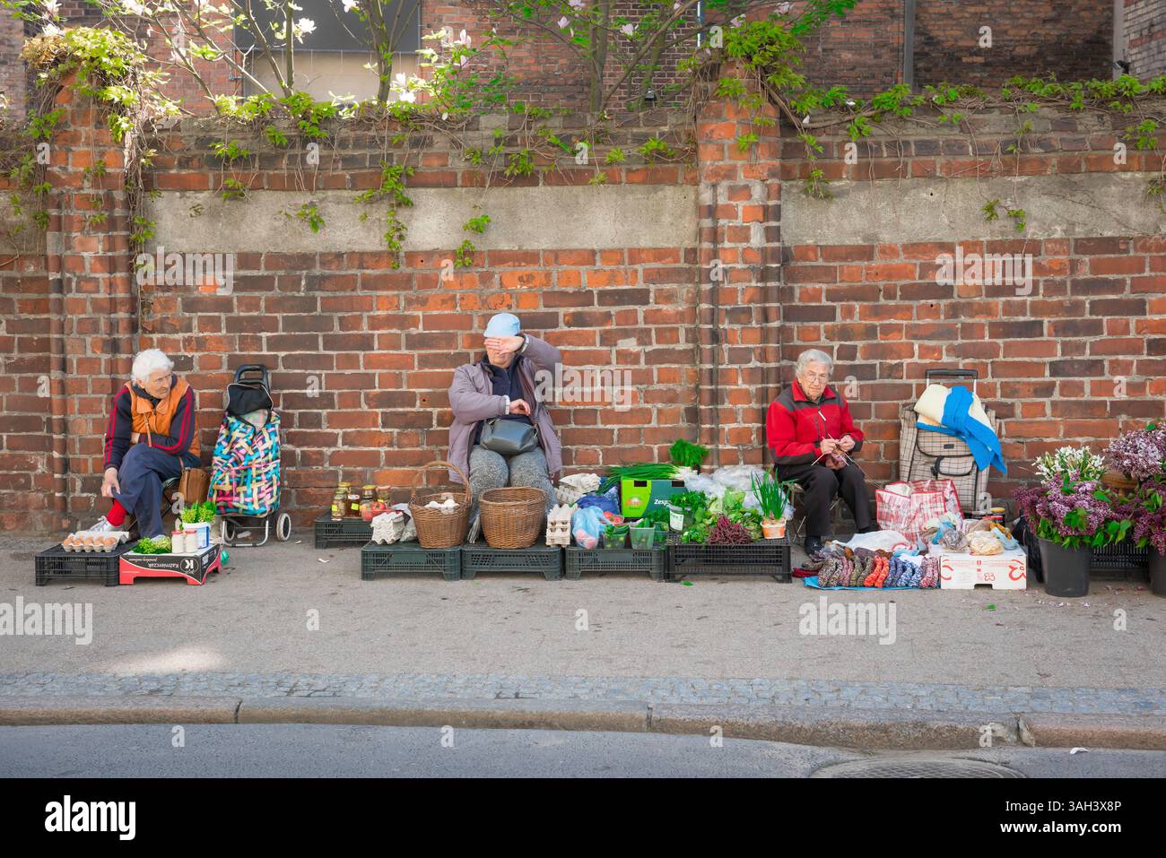 Vieilles femmes Europe, vue de trois femmes âgées vendant des légumes frais dans une rue du centre de Gdansk, Pologne Banque D'Images