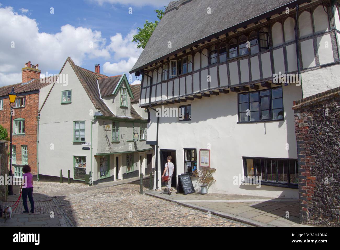Les armes britanniques coffee house et restaurant en haut de la colline historique de l'Orme, Norwich. C'était 'Le Prince' abattus pub dans le film Stardust Banque D'Images
