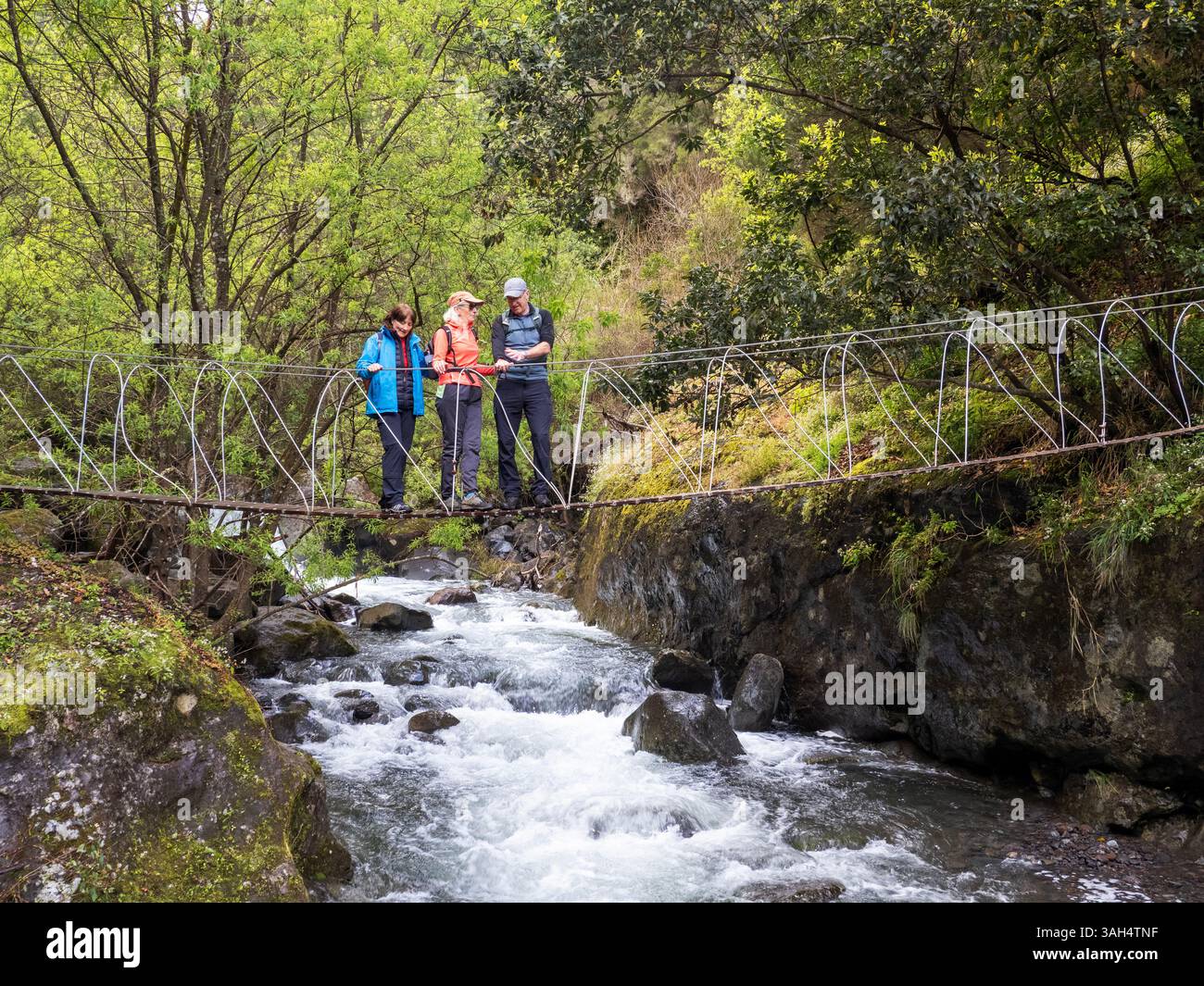 Promeneurs traversant un pont suspendu traversant la gorge de la rivière Sao Roque sur Madère. Banque D'Images