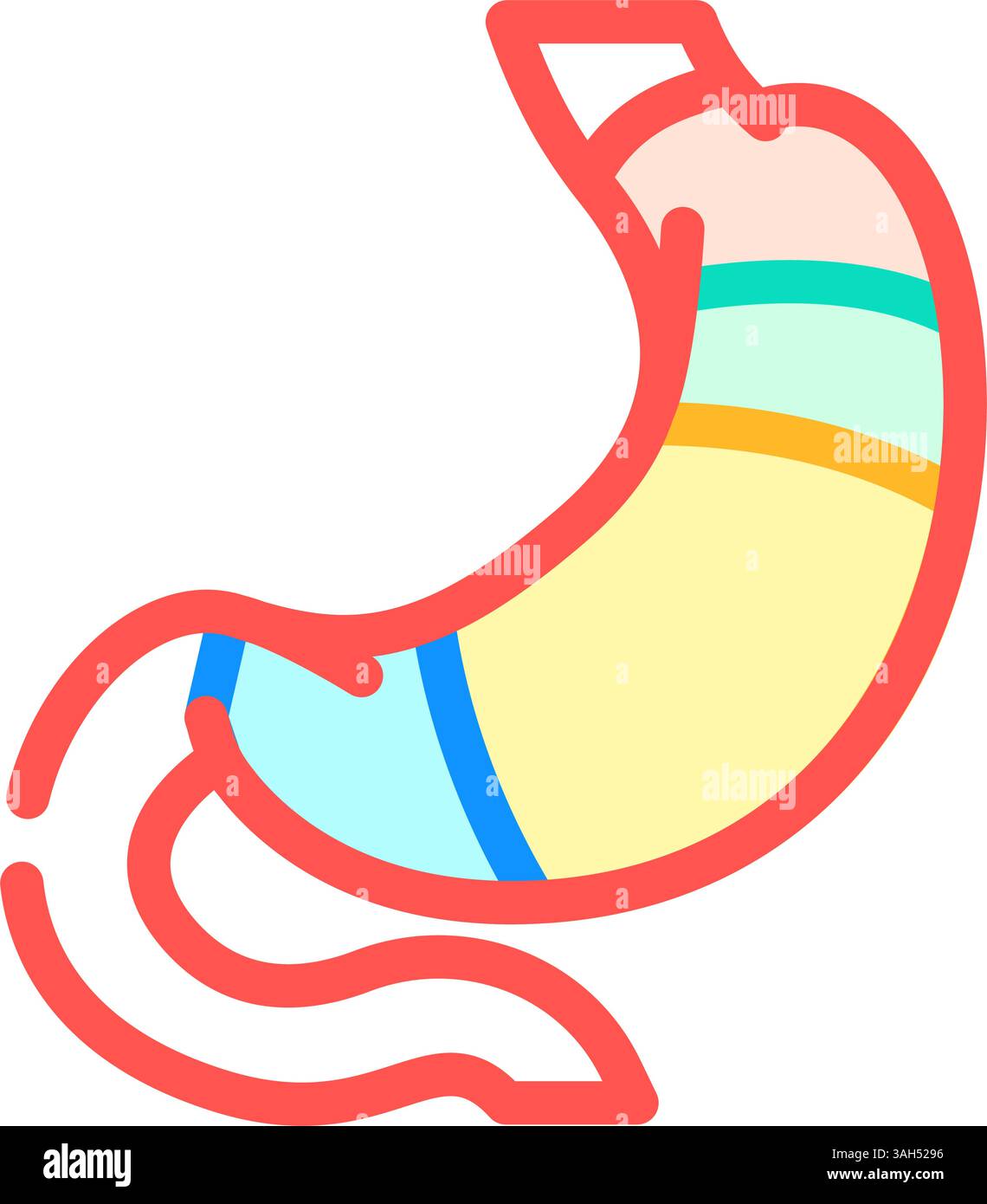 illustration vectorielle d'icône couleur d'anatomie de l'estomac gastro-entérologue Illustration de Vecteur
