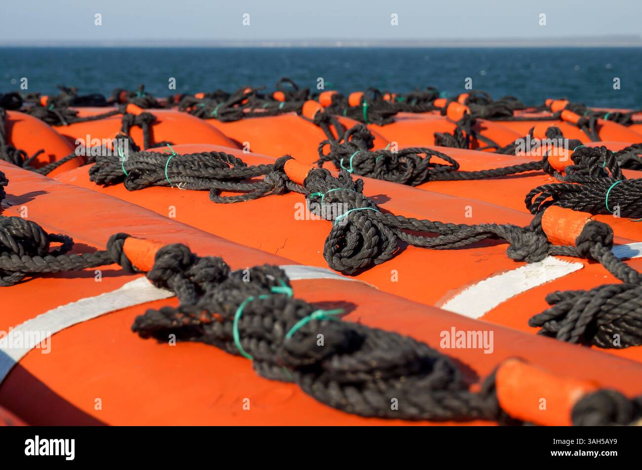 Photo en gros plan d'une corde noire sur un bateau de sauvetage orange sur un ferry de l'océan. Banque D'Images
