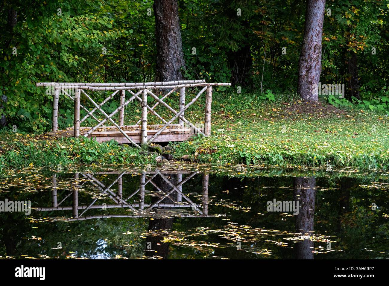 Pont sur un ruisseau dans un parc forestier, fait de bouleau blanc, se reflète sur la surface de l'eau d'un étang envahi par la végétation. Banque D'Images