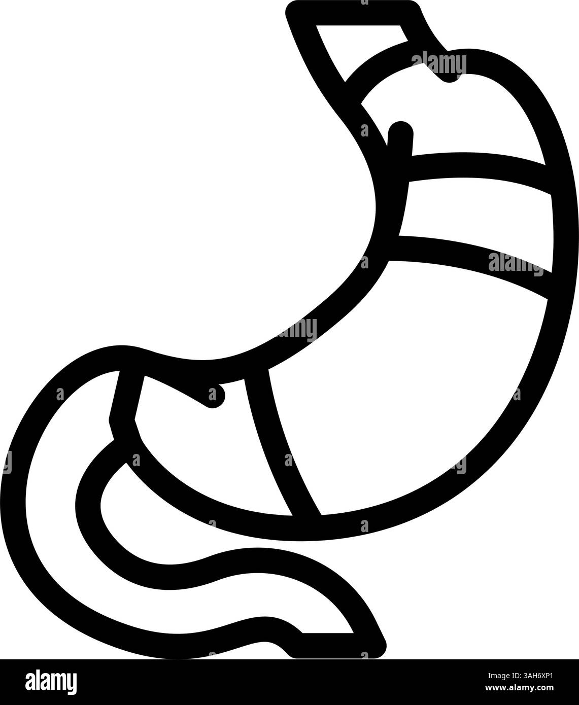 anatomie de l'estomac gastro-entérologue illustration vectorielle de ligne d'icône Illustration de Vecteur