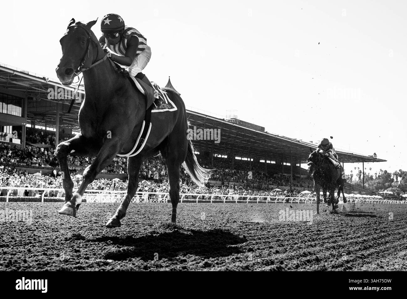 4 avril 2015 - Arcadia, CA, É.-U. - 04 avril 2015 : Dortmund avec le jockey Martin Garcia Up remporte le GI Santa Anita Derby au Santa Anita Park à Arcadia CA. Alex Evers/ESW/CSM(crédit image : © Alex Evers/Cal Sport Media/ZUMAPRESS.com) Banque D'Images
