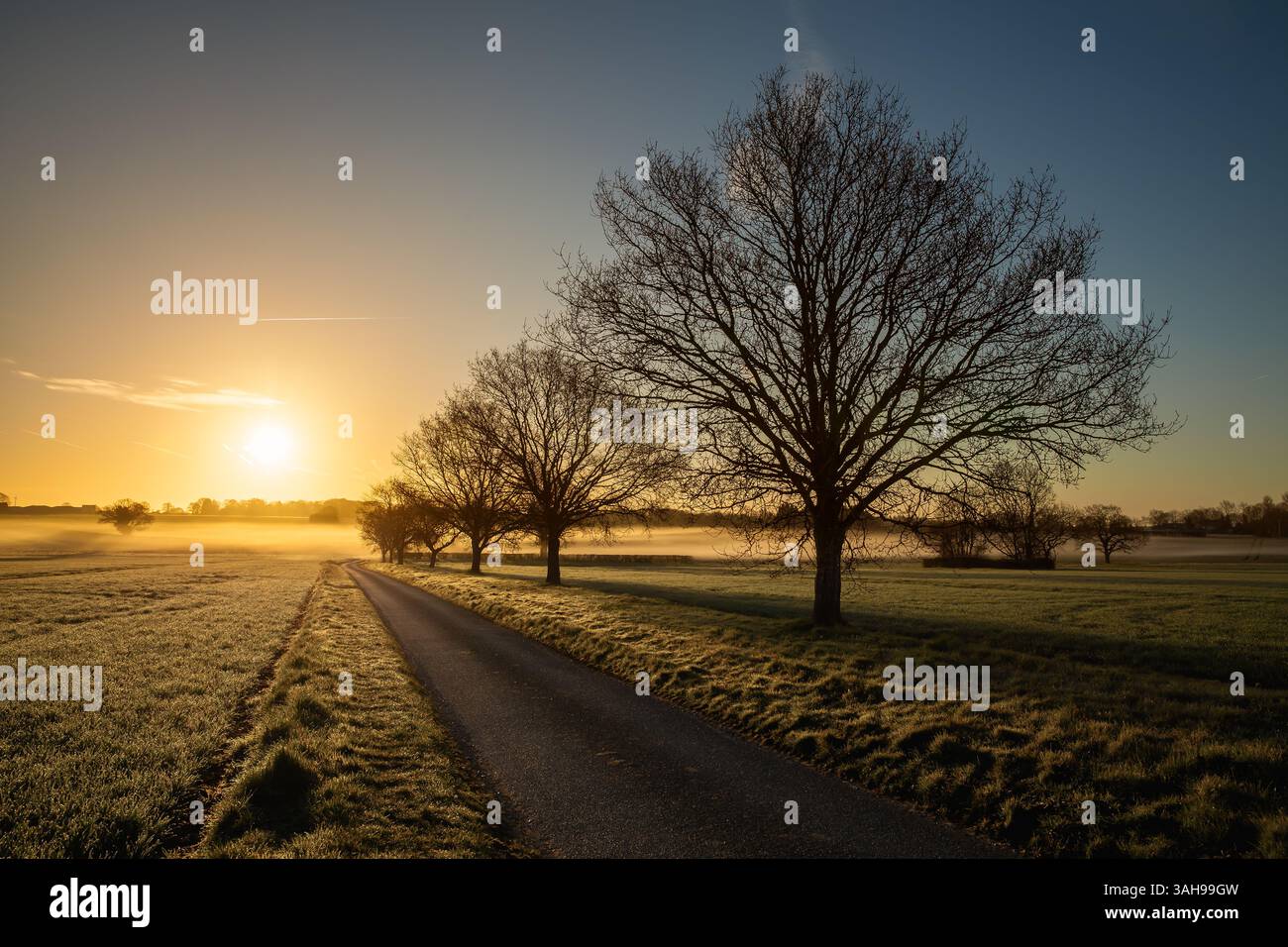 Lever de soleil à l'aube avec ciel dégagé sur une route droite. Paysage rural avec brume et arbres printaniers dans le Norfolk Angleterre Banque D'Images
