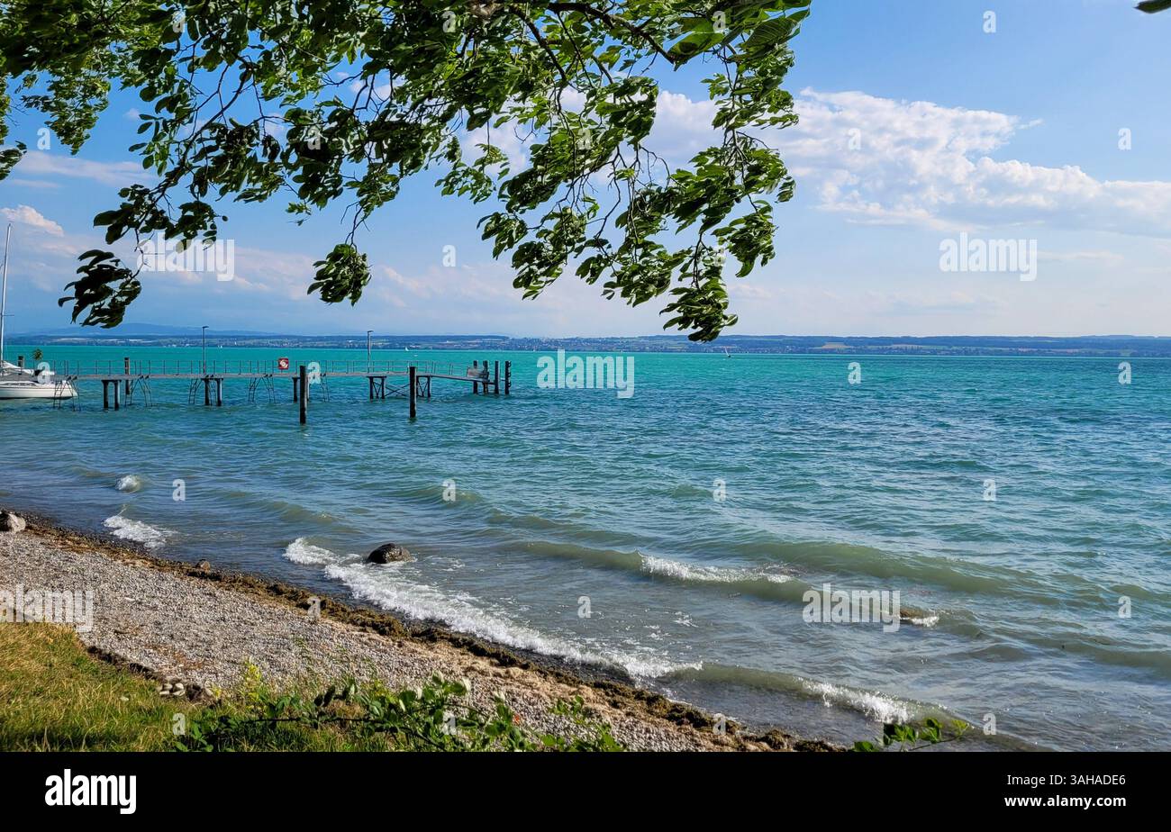 Vue sur un lac pittoresque de Constance avec une eau bleu-turquoise dans une journée de vent ensoleillé. Au premier plan - branches d'arbres sous des rafales de vent. Bodense Banque D'Images
