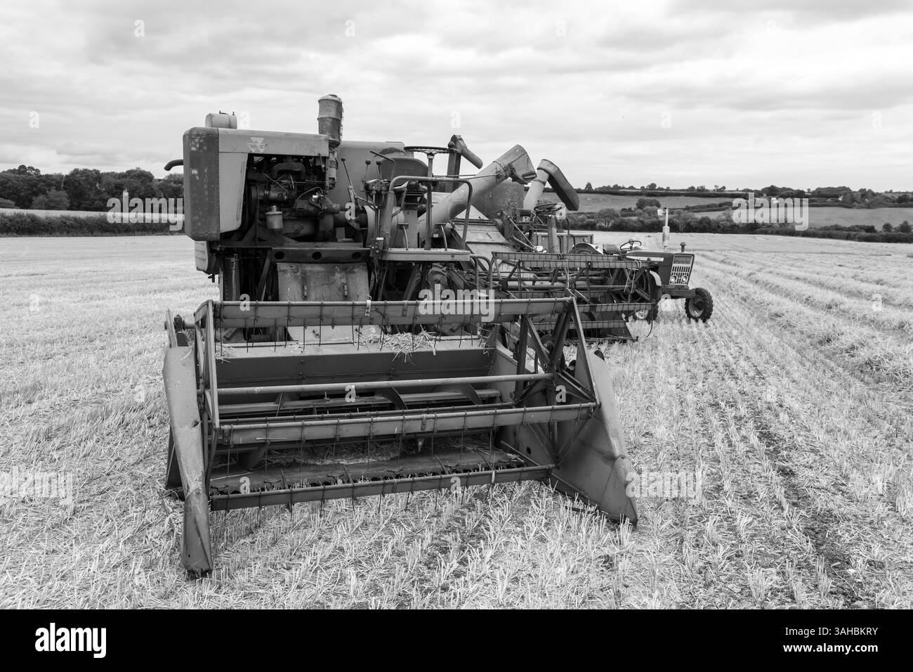 Haselbury Plucknet.Somerset.Royaume-Uni. 17 août 2024.Une moissonneuse-batteuse Massey Ferguson 31 est présentée lors d'un événement agricole de Yesterdays Banque D'Images