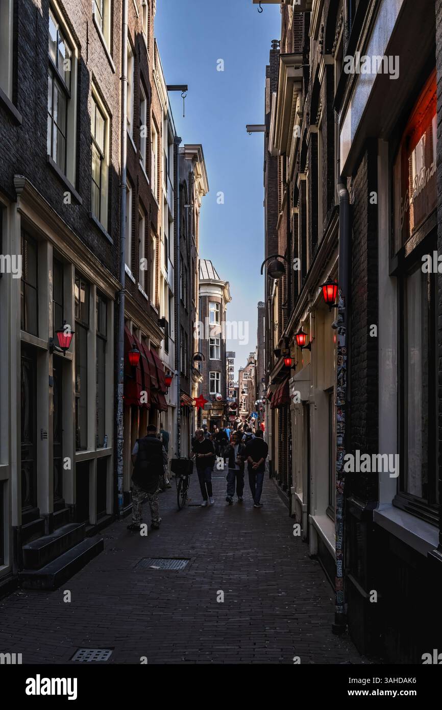 Amsterdam, pays-Bas - 09-20-09 2024 : quartier rouge à Amsterdam les pays-Bas de nuit Banque D'Images