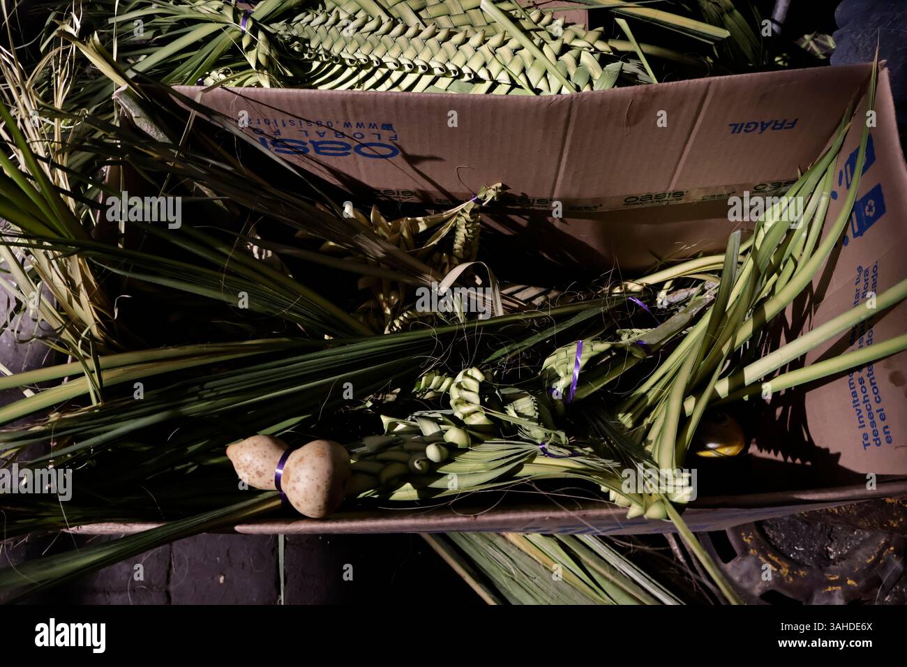 Mexico, CDMX, Mexique. 9 avril 2025. Le marché jamaïcain est célèbre pour ses ventes de fleurs ; cependant, chaque année, il accueille des artisans de Puebla, Guerrero, Oaxaca et Veracruz pour vendre leurs articles religieux faits à la main en palmier. Ces feuilles sont obtenues principalement à partir de la fleur d'hibiscus, qui est séchée après avoir été coupée puis tissée à la main pour créer des figures telles que des croix, des Christs crucifiés, etc Le dimanche des Rameaux est l'une des principales fêtes catholiques qui marque le début de la semaine Sainte ou Semana Santa Credit : Josue Perez/ZUMA Press Wire/ZUMA Wire/Alamy Live News Banque D'Images