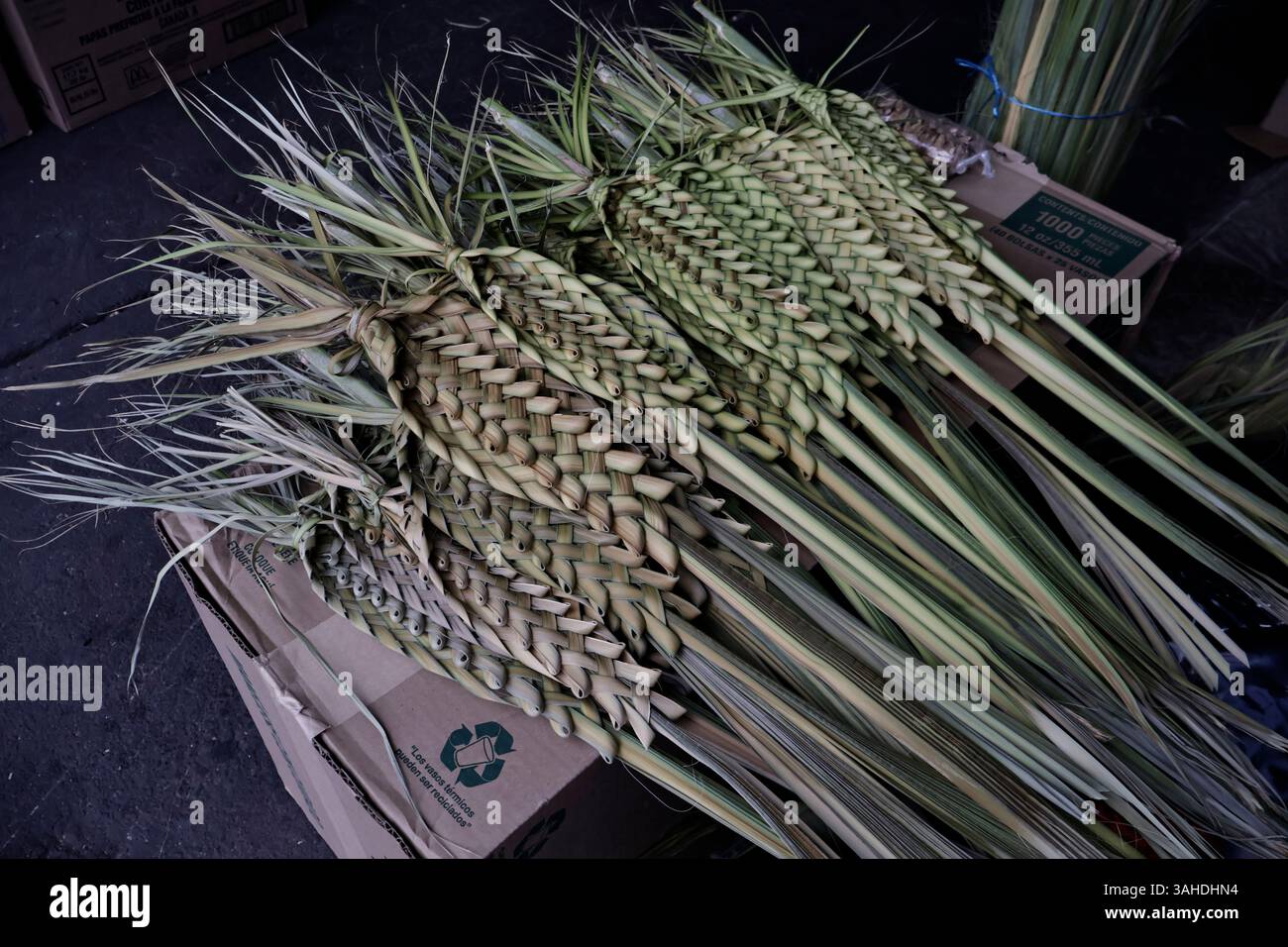 Mexico, CDMX, Mexique. 9 avril 2025. Le marché jamaïcain est célèbre pour ses ventes de fleurs ; cependant, chaque année, il accueille des artisans de Puebla, Guerrero, Oaxaca et Veracruz pour vendre leurs articles religieux faits à la main en palmier. Ces feuilles sont obtenues principalement à partir de la fleur d'hibiscus, qui est séchée après avoir été coupée puis tissée à la main pour créer des figures telles que des croix, des Christs crucifiés, etc Le dimanche des Rameaux est l'une des principales fêtes catholiques qui marque le début de la semaine Sainte ou Semana Santa Credit : Josue Perez/ZUMA Press Wire/ZUMA Wire/Alamy Live News Banque D'Images
