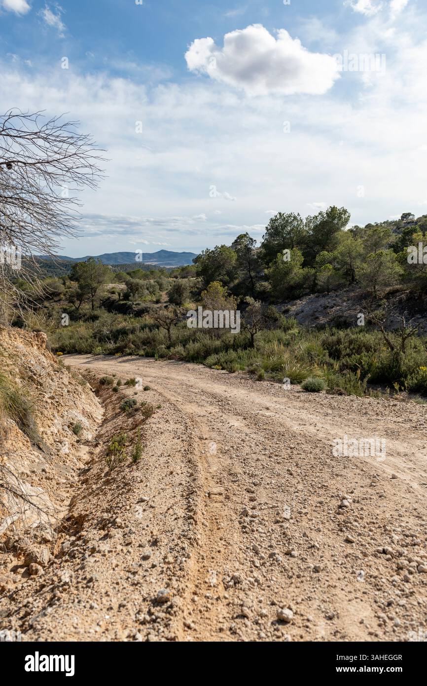 Beau paysage avec chemin de terre de gravier sinueux, Costa Blanca Banque D'Images