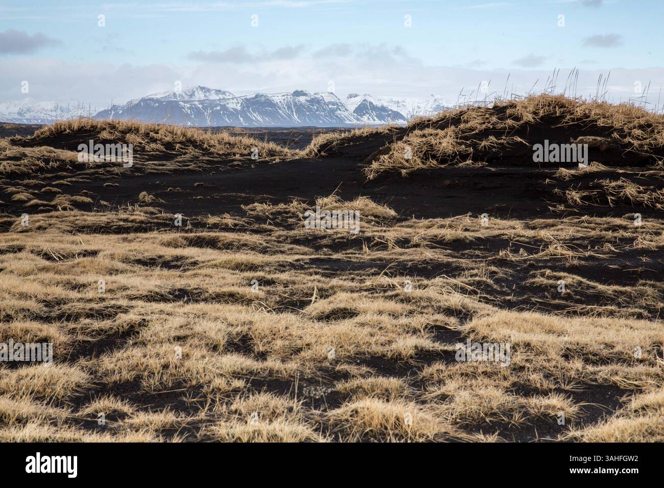 22 mars 2015 - L'Islande - un paysage pittoresque typique de sable noir et de l'herbe sèche, avec des montagnes en arrière-plan, tout en conduisant le long de la Rocade (route 1), au début du printemps, juste au nord de Vik, Islande (crédit Image : © Daniel DeSlover/Zuma sur le fil) Banque D'Images