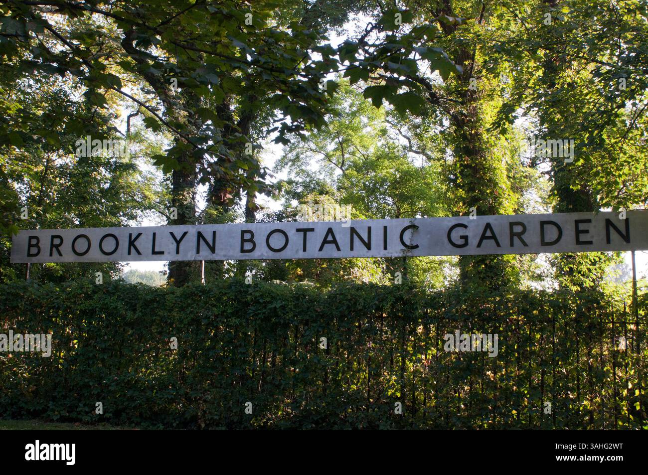 24 septembre 2013 - New York, New York, États-Unis - Brooklyn Botanic Garden, 1000 Washington Avenue, dans l'arrondissement de Brooklyn. Fondé en 1910 et situé dans le quartier de Prospect Park, le jardin de 52 hectares comprend un certain nombre de « jardins dans le jardin » spécialisés, des collections de plantes, et le conservatoire Steinhardt, qui abrite le musée C.V. Starr Bonsaï, trois pavillons de plantes sur le thème du climat, une maison de plantes aquatiques en fonte blanche et en verre, et une galerie d'art. Le jardin abrite plus de 10 000 taxons de plantes et accueille chaque année plus de 900 000 visiteurs du monde entier. (Crédit image : © Sergi R Banque D'Images