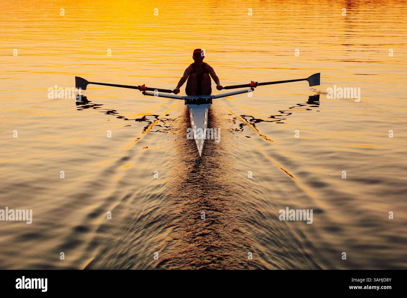Rameur solo au coucher du soleil, glissant sur l'eau calme avec des reflets dorés, Union Lake, Seattle, WA, USA Banque D'Images