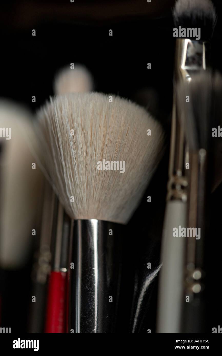 Image de haute qualité avec une collection de pinceaux de maquillage, disposés soigneusement sur une surface propre Banque D'Images