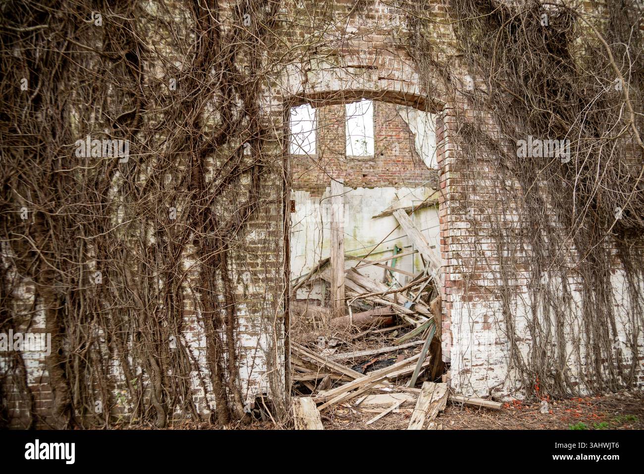 Money, Mississippi - les ruines de l'épicerie de Bryant, où Emmett Till, un afro-américain de 14 ans, aurait sifflé une femme blanche en 1955. TI Banque D'Images
