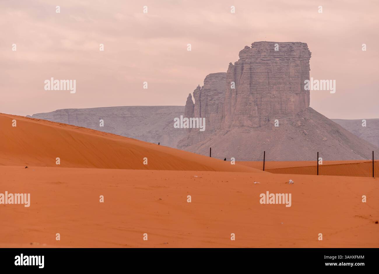 Vue panoramique sur les dunes de sable rouge frappantes et les formations rocheuses accidentées dans le désert près de Riyad, en Arabie Saoudite, sous un ciel rose doux. Banque D'Images