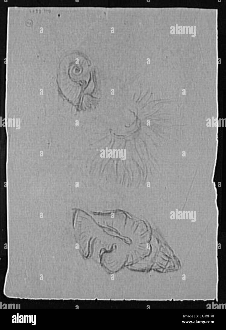 Cette œuvre sans titre de Gustave Moreau (1826-1898), réalisée entre 1850 et 1895, reflète l’intérêt de l’artiste pour les représentations abstraites ou symboliques. La pièce, qui fait partie de la collection du Musée Gustave Moreau, met en valeur la capacité de Moreau à transmettre l’émotion et le sens sans un sujet défini. Banque D'Images